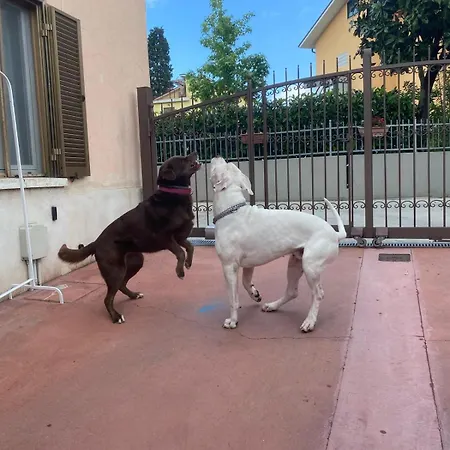 Il Borghetto 페자로