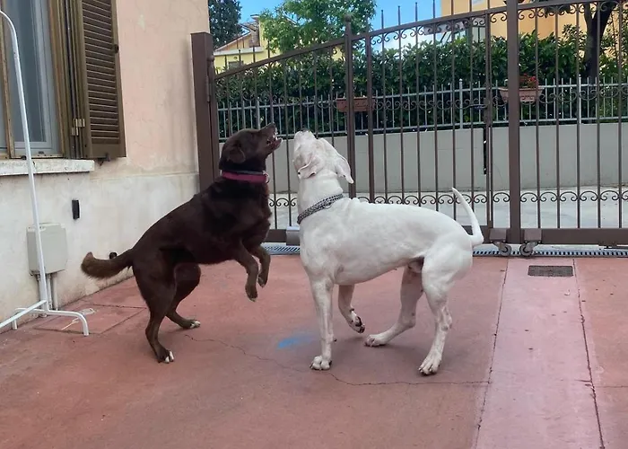 Il Borghetto 페자로